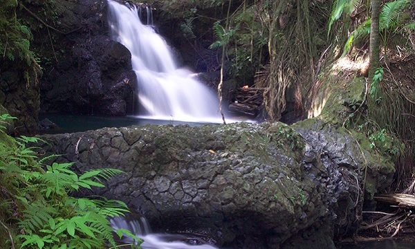 Forest Waterfalls Travel | Golf Hawaii