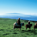 Horseback riding, Kohala | Golf Hawaii
