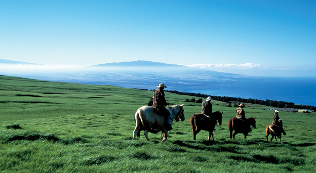 Horseback riding, Kohala | Golf Hawaii