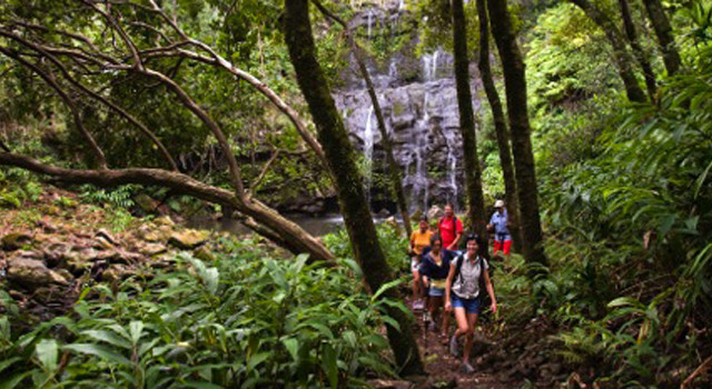 Hawaii Forest & Trail Adventure on Hawaii Island