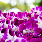 Hawaii Orchid Lei