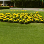 The Masters flowers logo