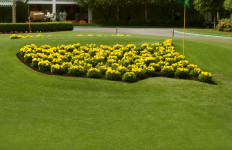 The Masters flowers logo