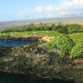 Mauna Kea Golf Hole 3